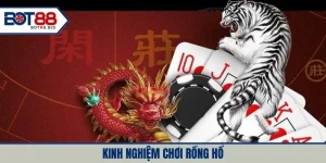 kinh nghiệm chơi rồng hổ