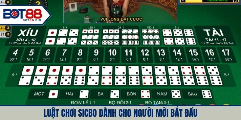 Tân binh học ngay luật chơi xúc xắc thú vị đầy sự may mắn