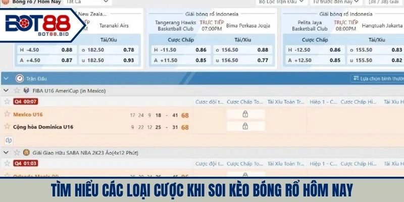 Tìm hiểu các loại cược khi soi kèo bóng rổ ngay hôm nay