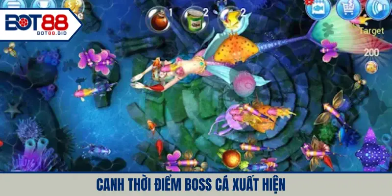 Canh thời điểm boss cá xuất hiện