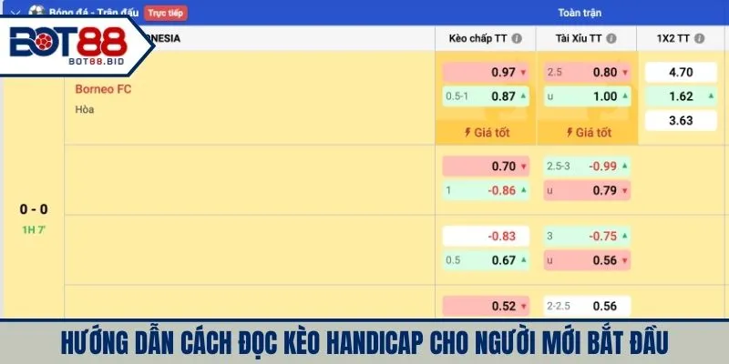 Hướng dẫn cách đọc kèo handicap cho người mới bắt đầu