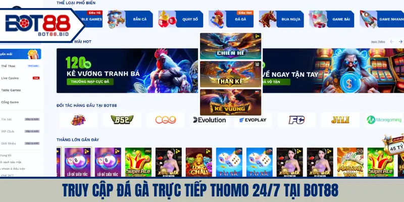 Truy cập đá gà trực tiếp Thomo 24/7 tại BOT88